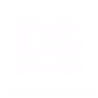DS Seguros